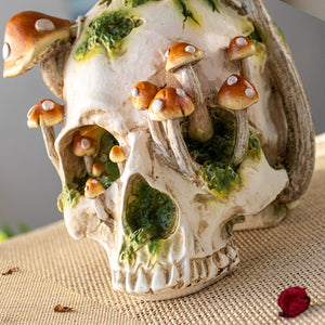 Mushroom Skull