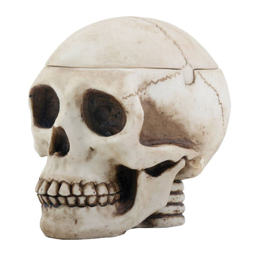 Skull Box