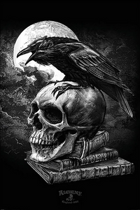 Poe's Raven Poster