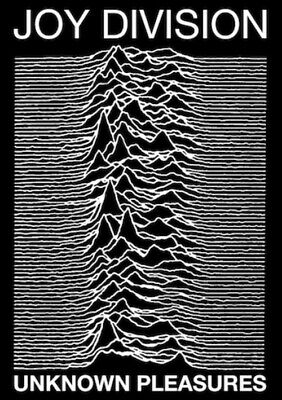 Joy Divison Unknown Pleasures Poster