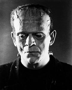 Frankensteins Monster Photo