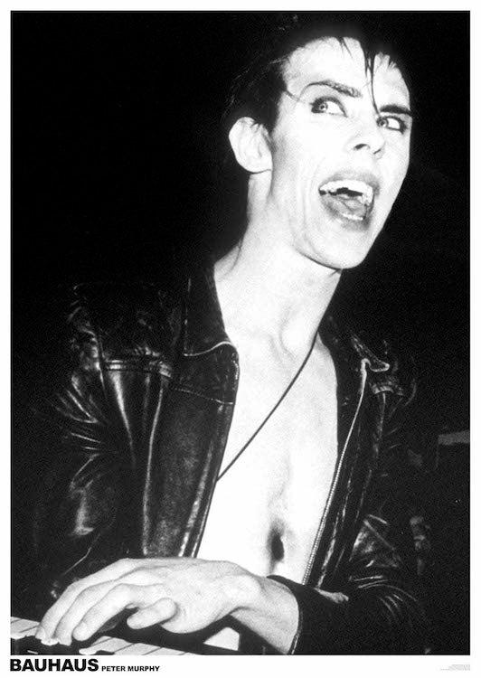 Peter Murphy Poster