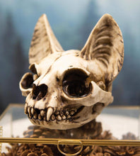Load image into Gallery viewer, Faux Bastet Skull