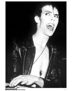 Peter Murphy Poster