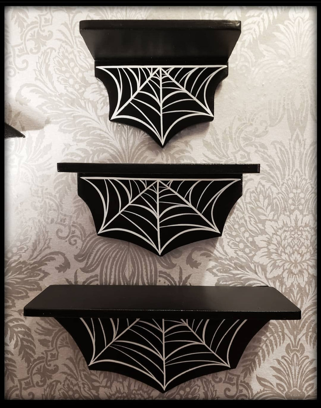 3pc Webbed Shelves